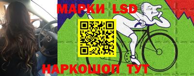 стафф Будённовск