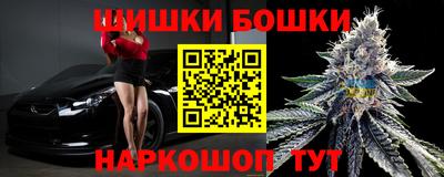 стафф Будённовск