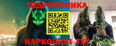шишки Усть-Илимск