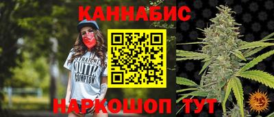 стафф Будённовск